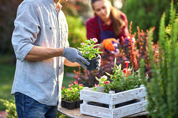 Beginner’s Guide to Container Gardening: What You Need to Start in 2025